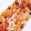 Natural Carnelian Beads Strands G-K203-29A-1