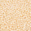 Baking Paint Pearlized Glass Seed Beads SEED-T008-03B-3