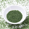 MIYUKI Delica Beads SEED-JP0008-DB1267-2