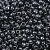 TOHO 6/0 Round Beads SEED-TR06-0081-3