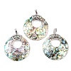 Natural Paua Shell Flat Round Pendants KK-C135-01P-1