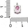 304 Stainless Steel Micro Pave Cubic Zirconia Charms STAS-L022-160P-A01-3