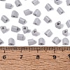 FGB Baking Paint Glass Seed Beads SEED-Q040-09A-17-4