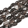 Natural Obsidian Beads Strands G-P497-01A-15-2