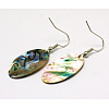 Natural Abalone Shell/Paua ShellEarrings EJEW-Q161-01-2