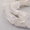 Electroplated Natural Quartz Crystal Beads Strands G-D0009-01B-08-3