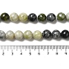 Natural Xiuyu Jade Beads Strands G-H298-A08-04-5