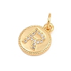 Brass Micro Pave Clear Cubic Zirconia Charms CU-CBA56CE-12G-R-2