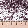 MIYUKI Round Rocailles Beads SEED-JP0010-RR2402-3