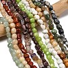 Mixed Gemstone Strands G364-1