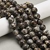 Natural Astroite Jasper Beads Strands G-F814-A01-10mm-1