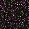 Spray Painted Glass Seed Beads SEED-F005-07A-03-3