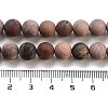 Frosted Natural Petrified Wood Round Bead Strands G-F266-07-8mm-01-4