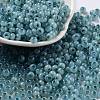Glass Seed Beads X1-SEED-M011-02A-08-1