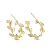 Rack Plating Brass Leaf Wrap Stud Earrings EJEW-F294-03G-2