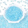 Transparent Colours Glass Seed Beads SEED-Q042-01A-A08-2