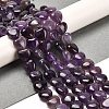 Natural Amethyst Beads Strands G-H005-C11-01-2