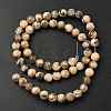 Natural Feldspar Beads Strands X-G-S259-26-6mm-4