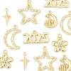 12Pcs 6 Styles Alloy Pendants FIND-FS0003-38G-2