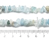 Natural Aquamarine Chip Beads Strands X-G-L154-19-5