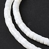 Natural Freshwater Shell Beads Strands SSHEL-C013-04B-3