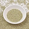 MIYUKI Delica Beads SEED-JP0008-DB1831F-2