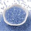 Glass Seed Beads SEED-L011-05B-12-2