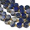 Natural Lapis Lazuli Beads Strands G-F833-B11-01-3