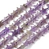 Natural Amethyst Beads Strands G-F817-A15-01-3