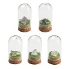 Natural Gemstone Nuggets Display Decoration with Glass Dome Cloche Cover DJEW-B009-03-1