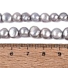 Natural Cultured Freshwater Pearl Beads Strands PEAR-N014-06C-01-5