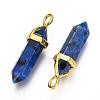 Natural Mixed Stone Double Terminated Pointed Pendants G-G902-B-3