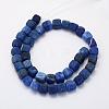 Natural Weathered Agate Beads Strands G-G705-10mm-14-2