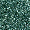 MIYUKI Delica Beads SEED-X0054-DB0060-3