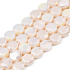 Electroplate Opaque Solid Color Glass Beads Strands EGLA-N002-27-B04-1