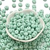 Opaque Colours Glass Seed Beads SEED-C001-03B-02-2