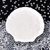 Transparent Glass Seed Beads SEED-N007-33A-01-1