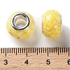 Brass Cores Acrylic European Beads OACR-M024-06P-04-3