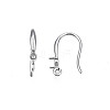 304 Stainless Steel Earring Hooks STAS-S057-61-3