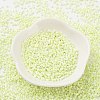 Baking Paint Glass Seed Beads X-SEED-S042-15B-24-2