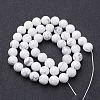 Natural Howlite Beads Strands X-GSR12mmC015-3