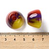 Resin European Large Hole Beads RESI-U009-03B-01-3