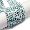 Natural Larimar Beads Strands G-F803-C01-02-2