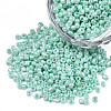 12/0 Glass Seed Beads SEED-S060-A-F408-01-1