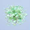 Plastic Candy Sequins/Paillette Chip DIY-I019-02J-2