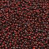 MIYUKI Round Rocailles Beads X-SEED-G008-RR4513-2