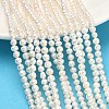 Natural Cultured Freshwater Pearl Beads Strands PEAR-L034-09C-1