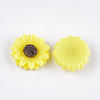 Resin Cabochons CRES-T010-60J-2