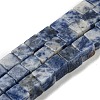 Natural Blue Spot Jasper Beads Strands G-I326-01B-01-1