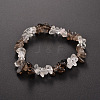 Chips Gemstone Beaded Stretch Bracelets BJEW-JB01825-06-1